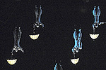 � ������ �������� ��� Zarkana �� "���� �� �����"